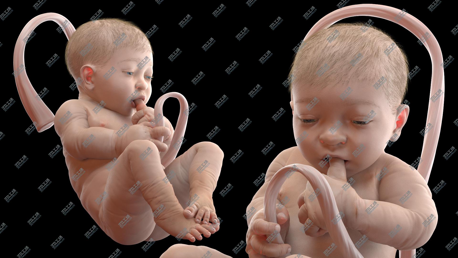 images/goods_img/202104091/Baby Boy at 38 Weeks Fur 3D model/1.jpg